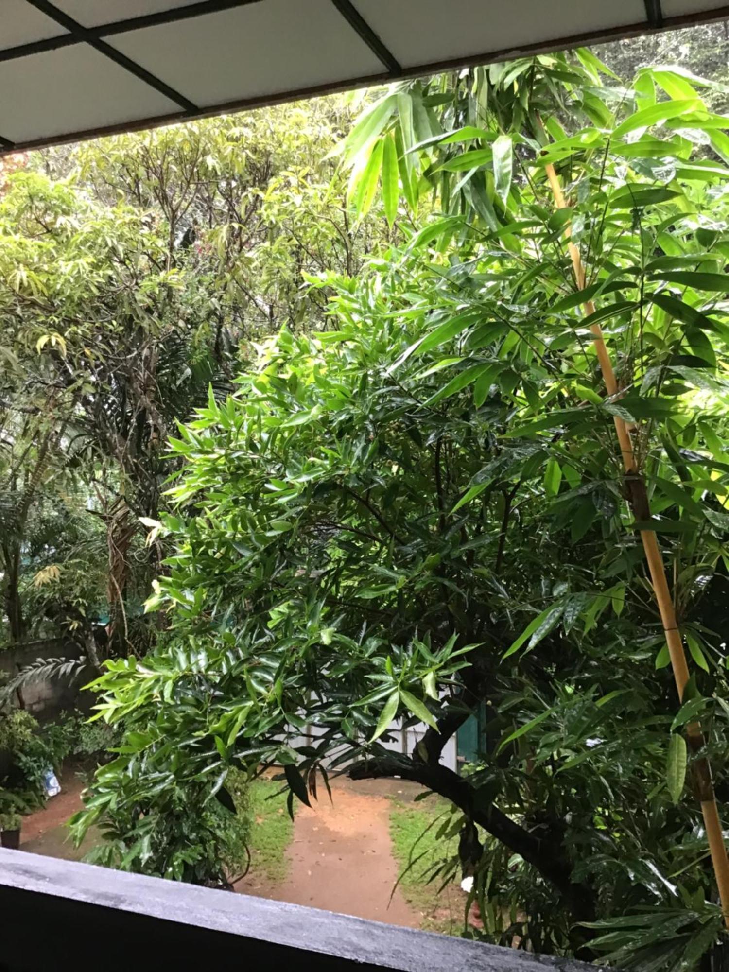 Sanjeehome & Lanka Ayurveda, בנטוטה מראה חיצוני תמונה