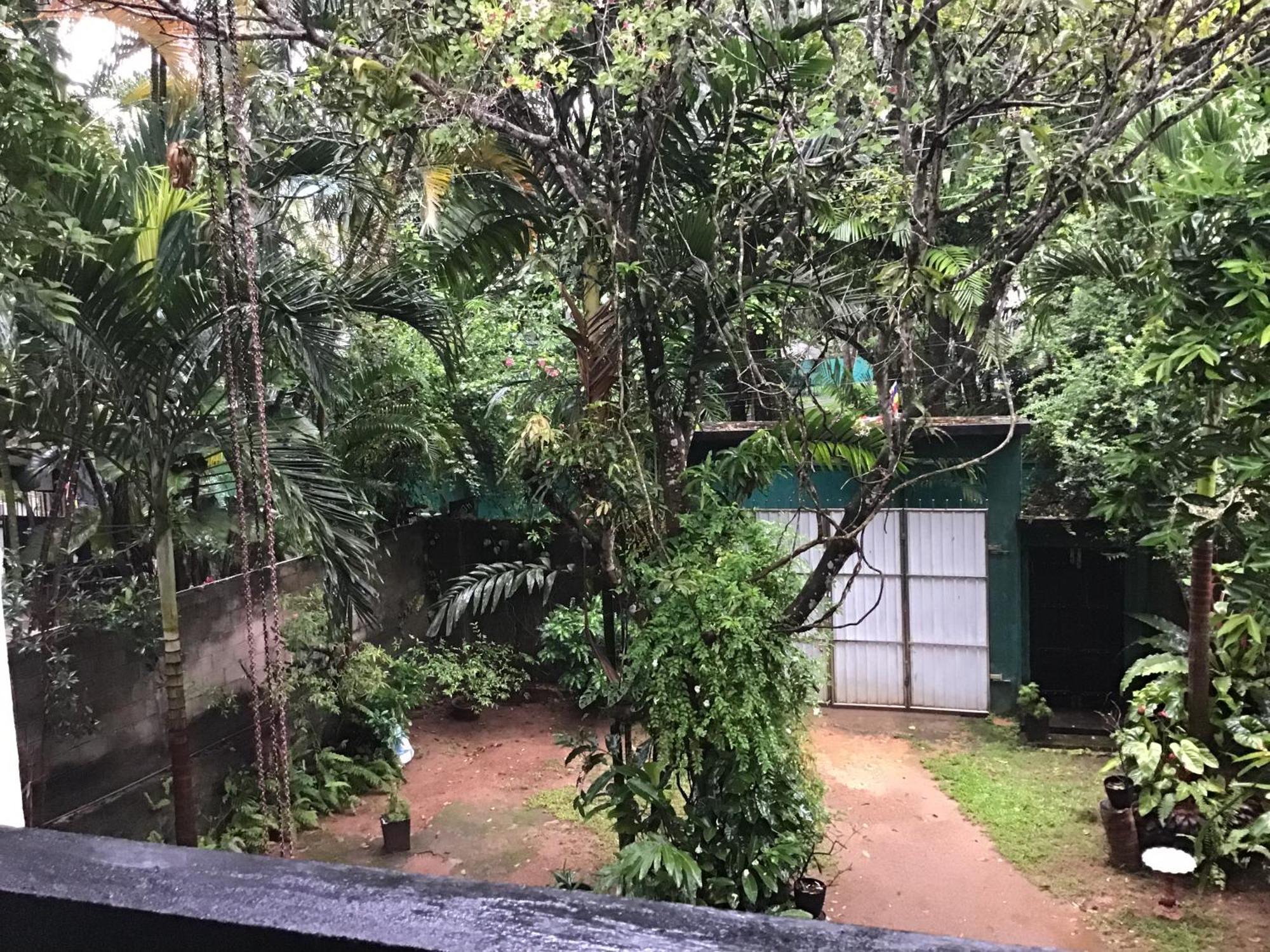 Sanjeehome & Lanka Ayurveda, בנטוטה מראה חיצוני תמונה